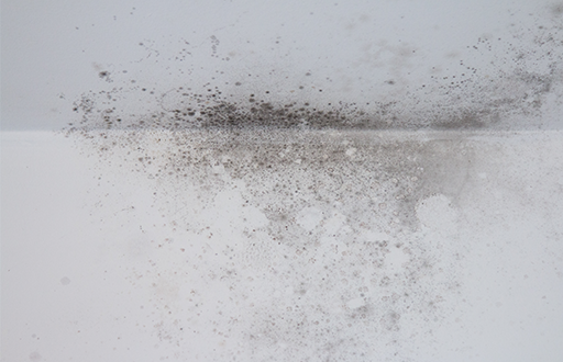 Black condensation mould built up on a conjoining wall and ceiling