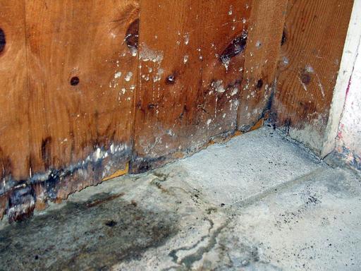 Wet rot or mould in the corner of a room 