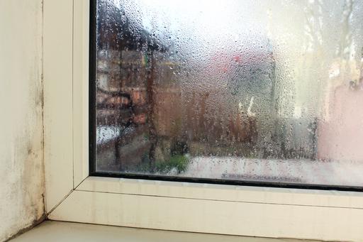 Condensation shown on a window with mould growing to the left of it 