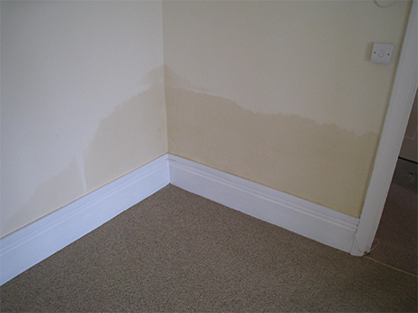 Rising dampness shown affecting plaster in the corner of a room 