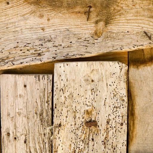 Timber covered in holes due to the impact of woodworms and woodbeetles